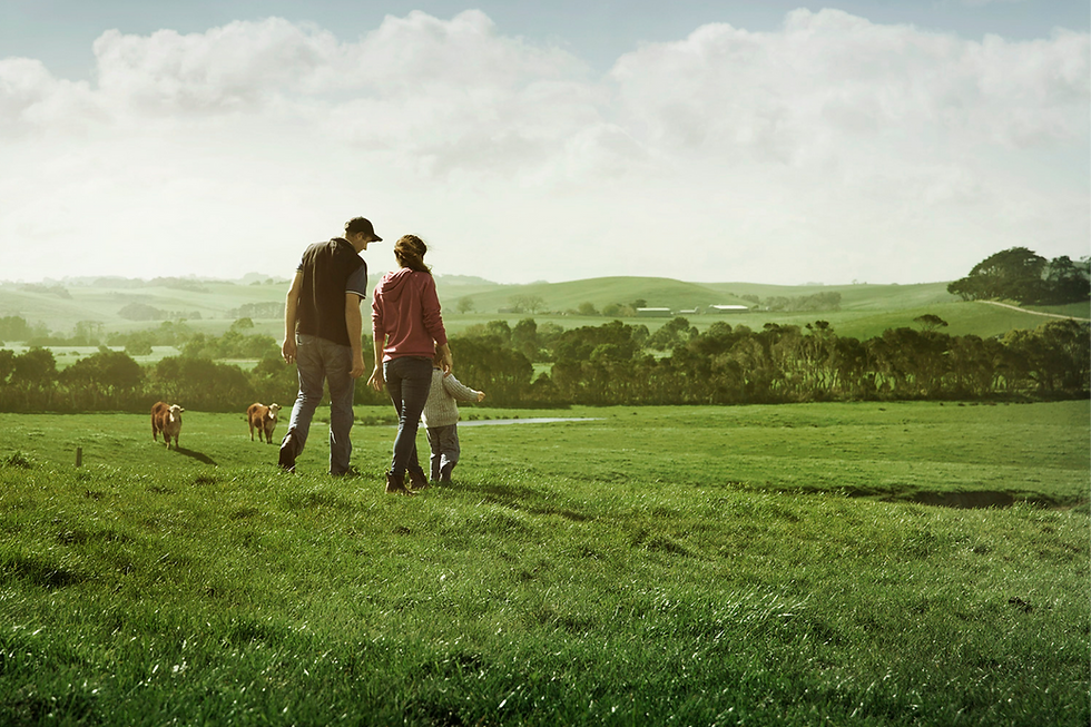 Rancher Family walking in a green pasture in Australia with cattle
