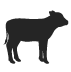 veal icon